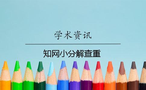 知网小分解查重