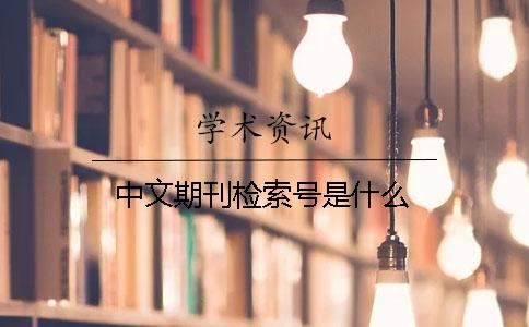 中文期刊检索号是什么